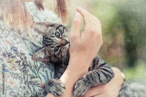 Fototapeta Naklejka Na Ścianę i Meble -  woman holds a kitten in the arms