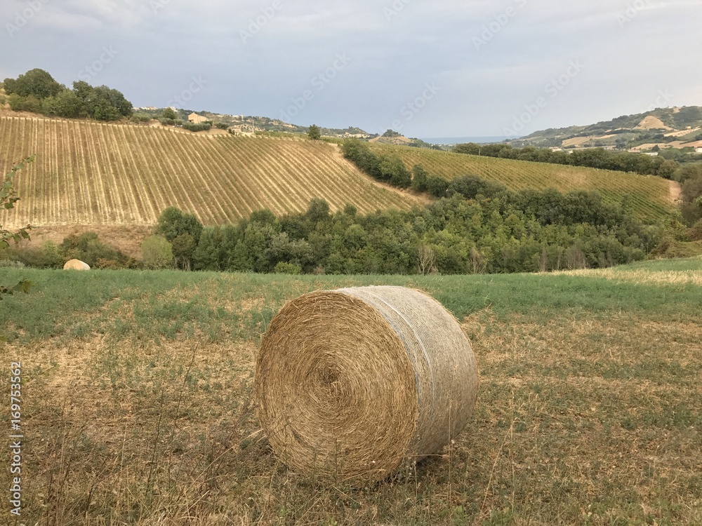 Hay roll and countty landscape, Italy