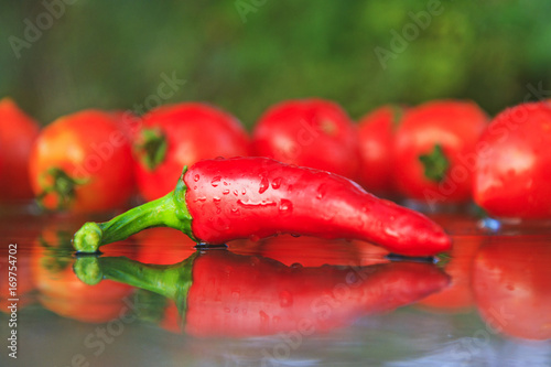 Chilli pepper on the background of red tomatoes