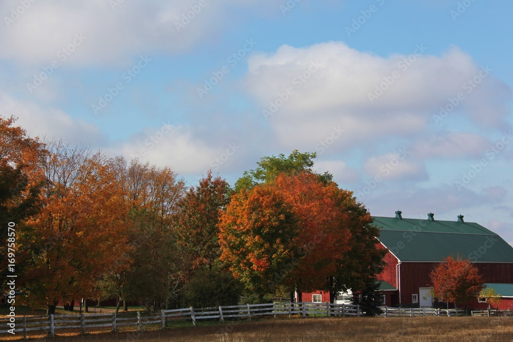Autumn oon the Farm