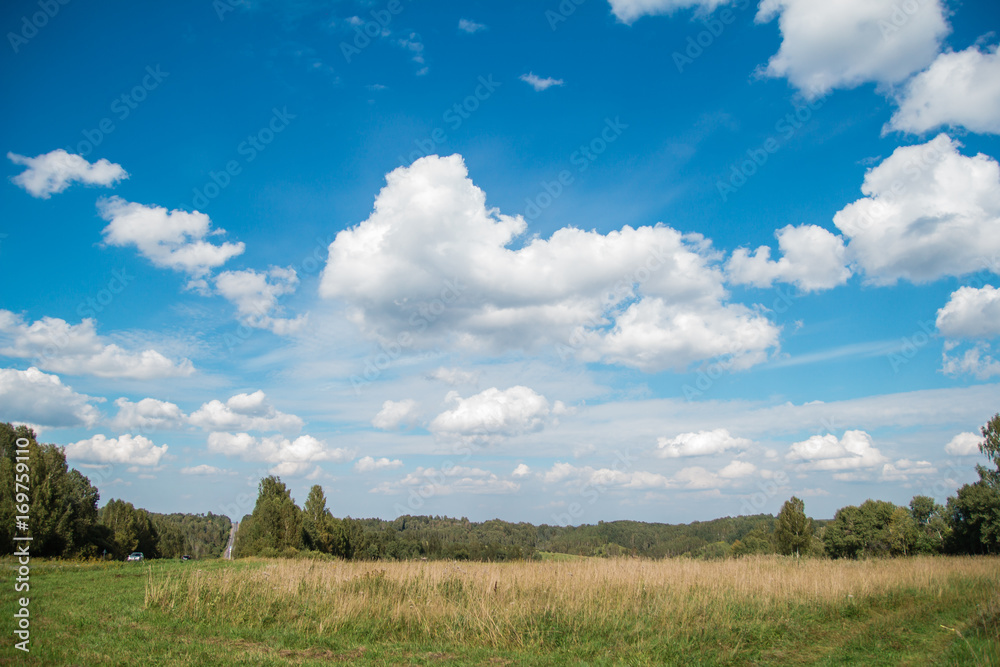 Footpath along a meadow in summer. Spring landscape view with blue sky and clouds