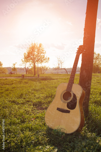Acoustic guitar by the tree on the park background