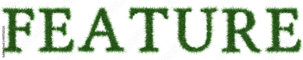 Fototapeta premium Feature - 3D rendering fresh Grass letters isolated on whhite background.