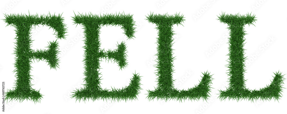 Fell - 3D rendering fresh Grass letters isolated on whhite background. Fell - 3D rendering fresh Grass letters isolated on whhite background.