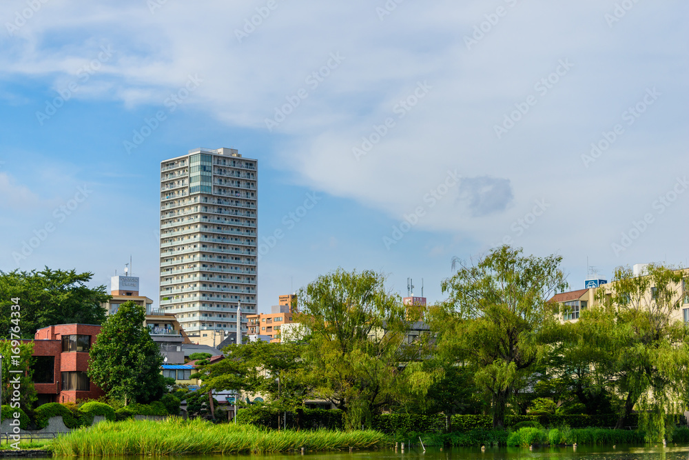 夏の石神井公園