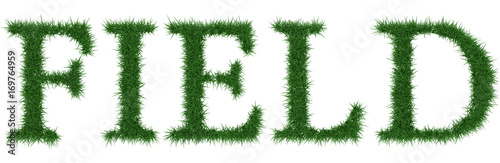 Field - 3D rendering fresh Grass letters isolated on whhite background.