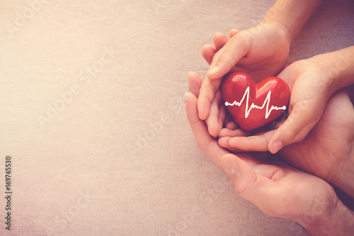 Fototapeta Naklejka Na Ścianę i Meble -  adult and child hands holding red heart with cardiogram, organ donor day, health care love and family concept, world heart day, world health day, world hypertension day, praying concept