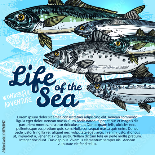 Vector poster of fish sea life or oceanarium