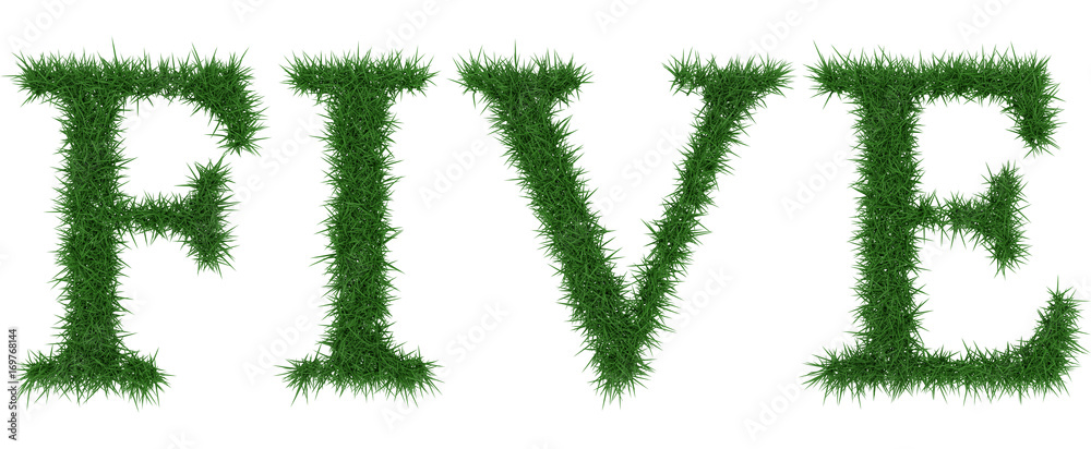 Five - 3D rendering fresh Grass letters isolated on whhite background. Five - 3D rendering fresh Grass letters isolated on whhite background.
