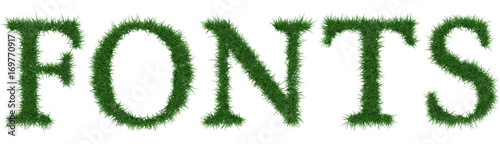 Fonts - 3D rendering fresh Grass letters isolated on whhite background.