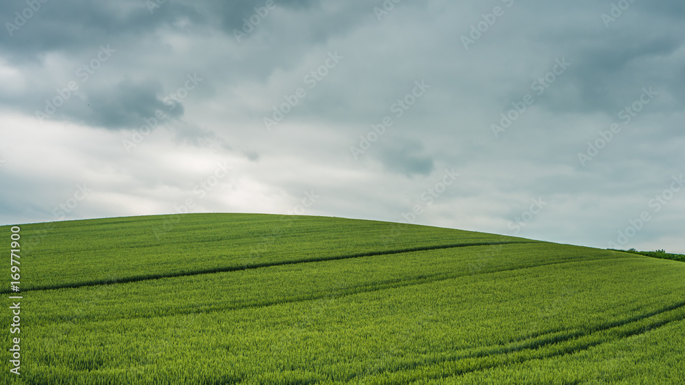 Green Valley Landscape