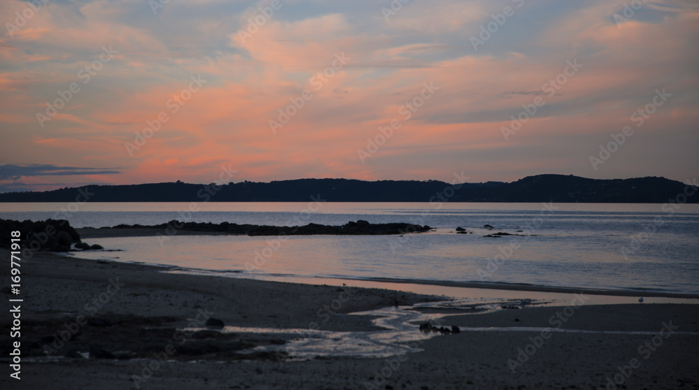 Fototapeta premium Nature