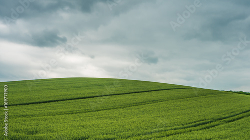 Green Valley Landscape