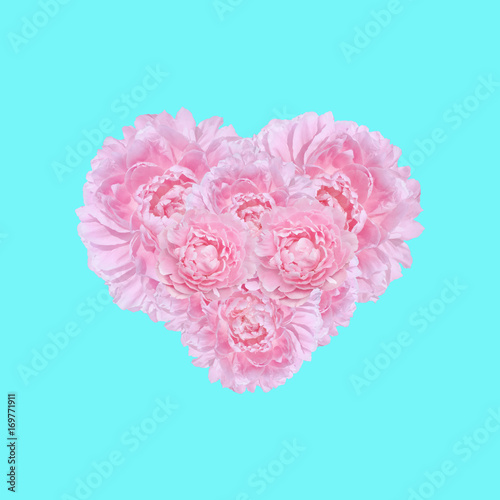 peony flowers in the shape of heart