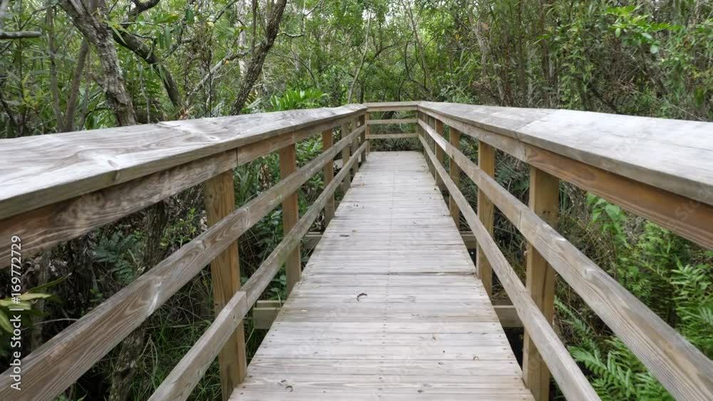 Wooden bridge on tourist path in Everglades National Park. Wooden bridge on tourist path in Everglades National Park.