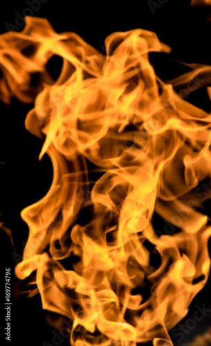 Fire flames on a black background © Prikhodko