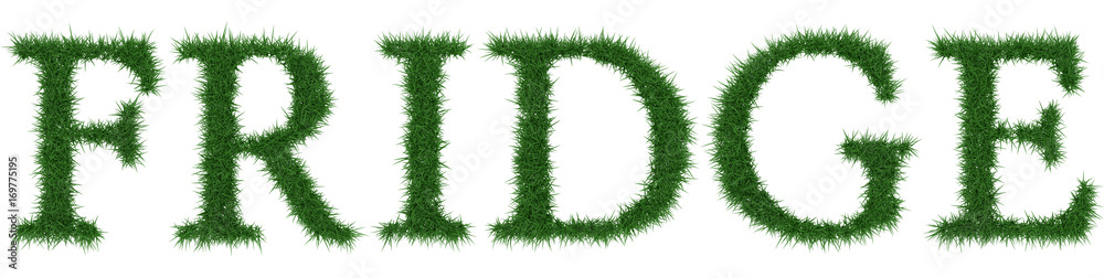 Fridge - 3D rendering fresh Grass letters isolated on whhite background. Fridge - 3D rendering fresh Grass letters isolated on whhite background.