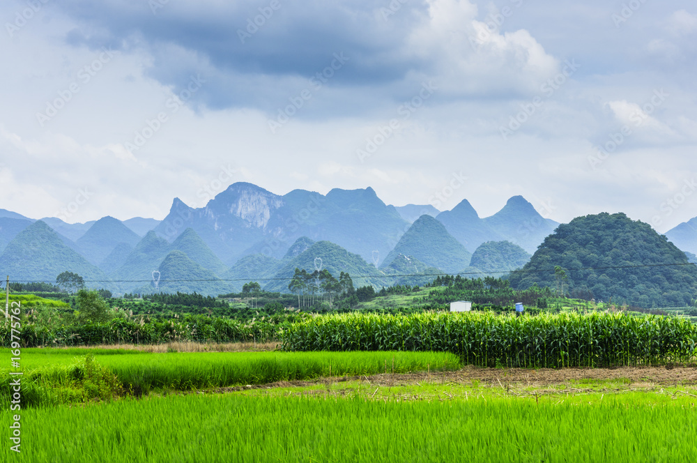 The countryside and mountains scenery in summer 