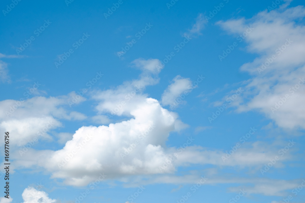 soft cloud and sky for background backdrop soft cloud and sky for background backdrop