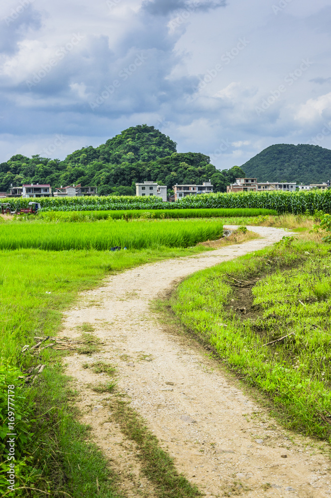 Countryside road scenery