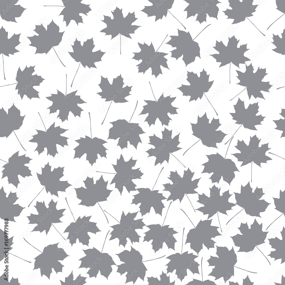 gray maple leaves on white background gray maple leaves on white background