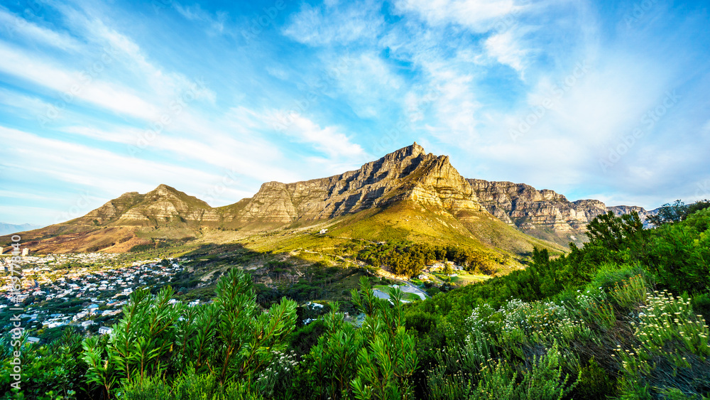 View of Table Mountain, Devils Peak and the Twelve Apostles from the hiking trail to the top of Lions Head mountain near Cape Town South Africa on a nice winter day