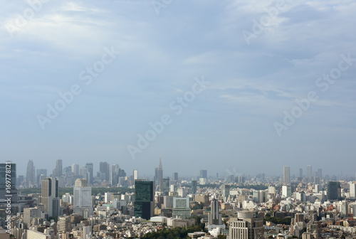 日本の東京都市景観「新宿や池袋の高層ビル群などを望む」
