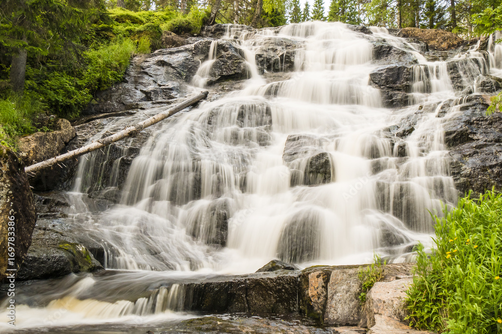 Fototapeta premium Wasserfall Langzeitbelichtung Wald