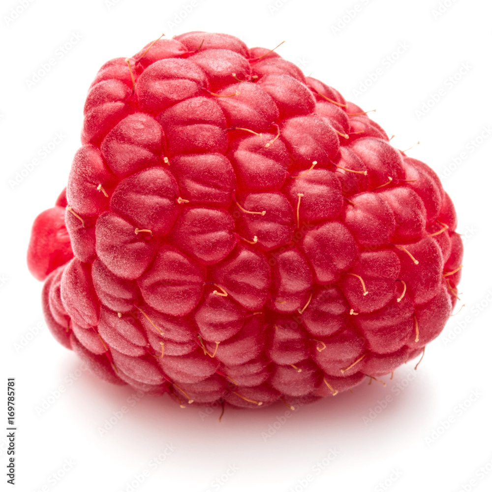 ripe raspberry isolated on white background close up ripe raspberry isolated on white background close up
