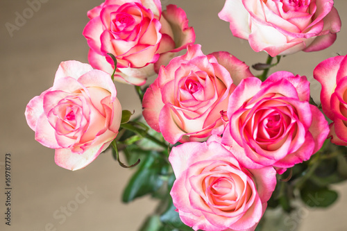 bouquet of fresh pink roses on table 