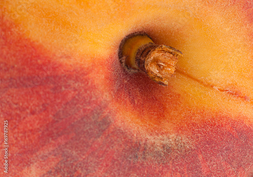 Peach fruit background