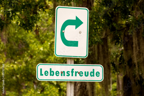 Schild 273 - Lebensfreude photo