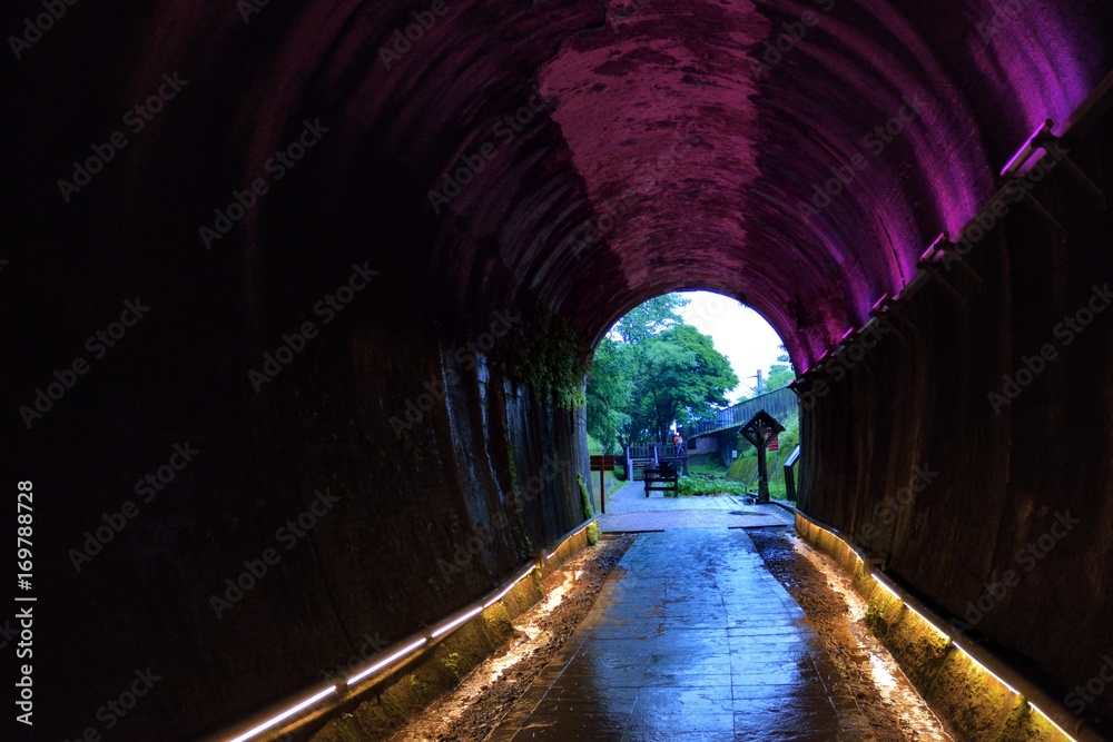 Color tunnel trail in Miaoli,Taiwan 