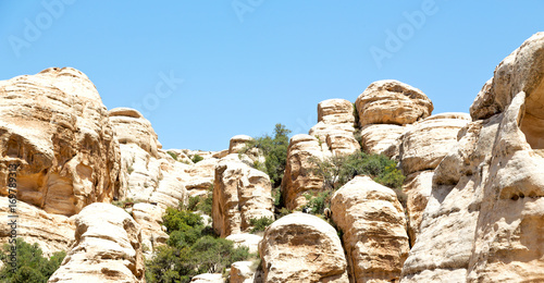 in the scenic wildlife  valley  natural  reserve photo