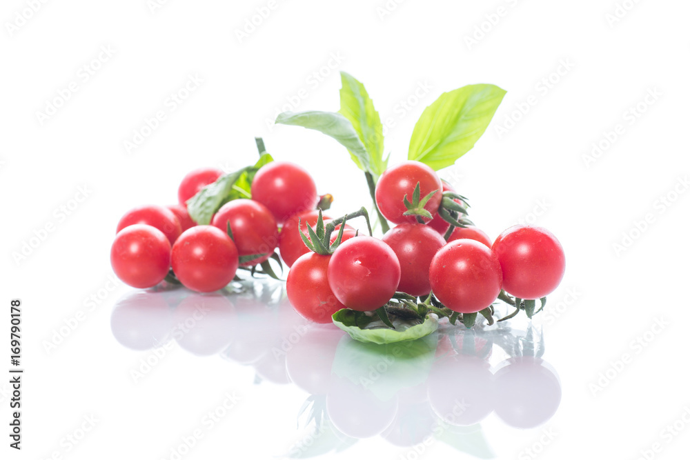 fresh organic cherry tomatoes fresh organic cherry tomatoes