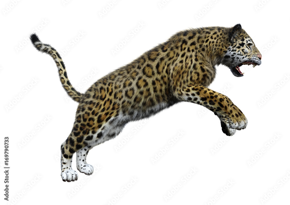 Fototapeta premium 3D Rendering Big Cat Jaguar on White