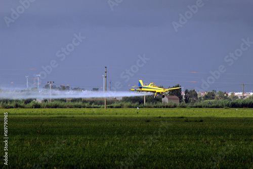 Avioneta fumigando plantación de arroz en el Delta del Ebro, Cataluña (España)