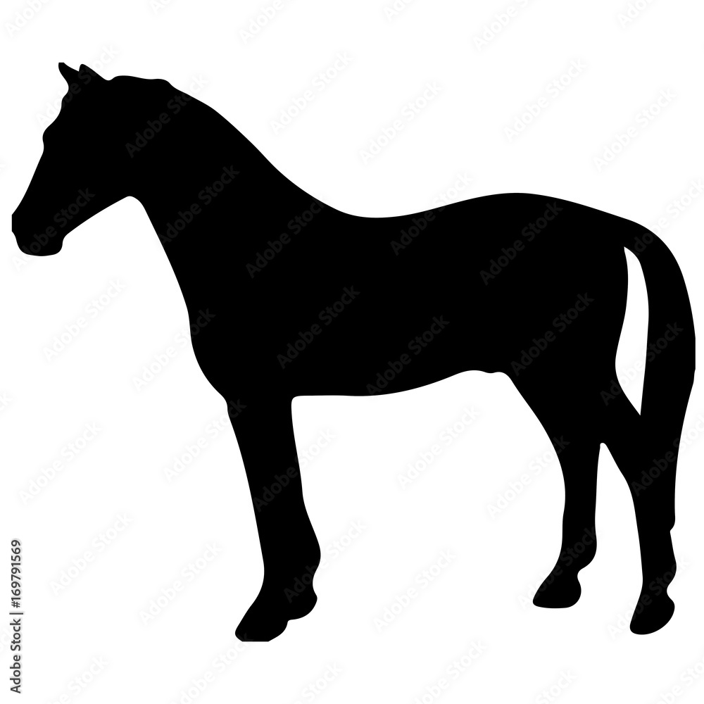 Obraz premium rearing up horse fine vector silhouette and outline - graceful black stallions against white