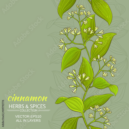 cinnamon vector background