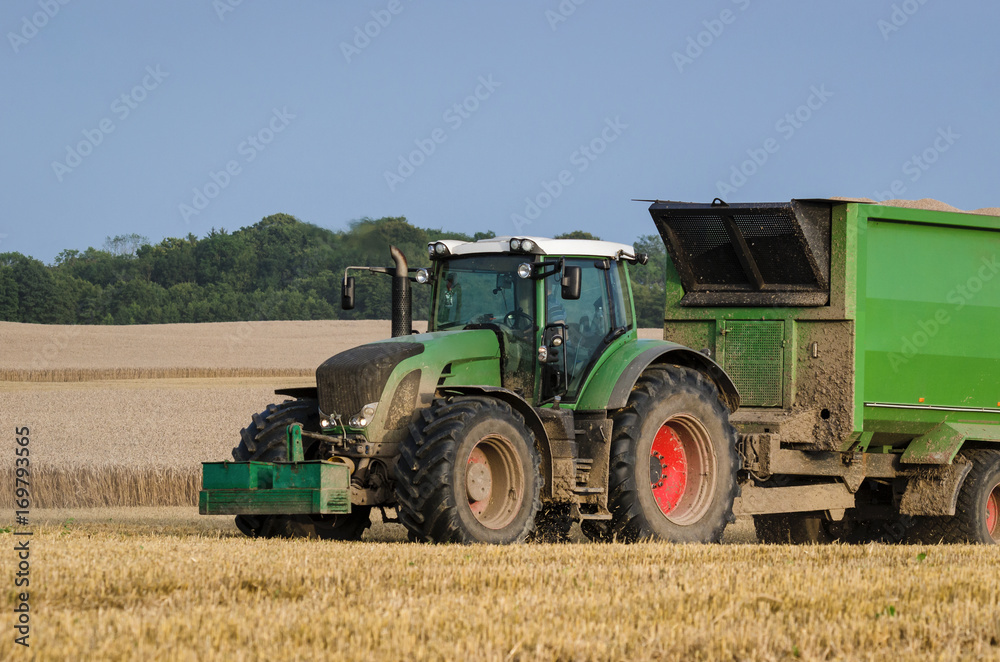 Obraz premium TRACTOR- Transport of mown grain from the field
