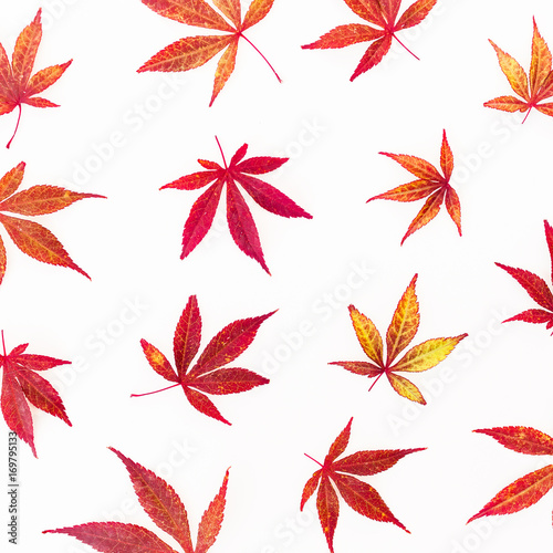 Pattern of fall autumn leaves on white background. Flat lay, top view. Autumn concept