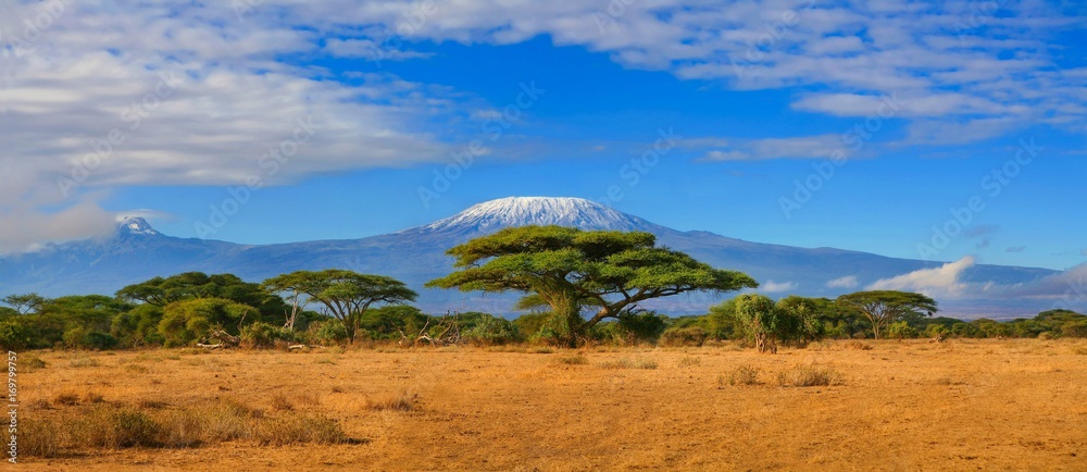 Naklejka premium Śnieg Kilimandżaro w Tanzanii pokryty zachmurzonym błękitnym niebem złapany wist na safari w Afryce Kenii.