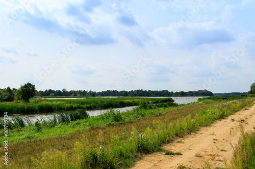 Landscape with river, colorful shore grown with plants and sand path