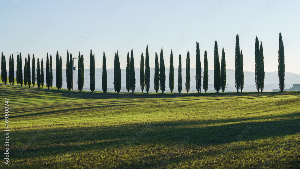Obraz premium Tuscany landscape