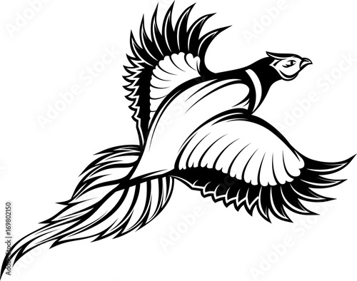 vector illustration of a stylish monochrome flying pheasant