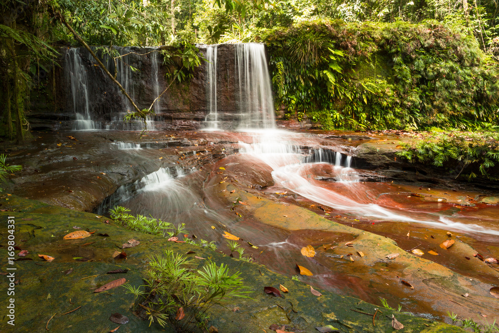 Fototapeta premium Waterfall in the jungle (Lambir Hill, Malaysia)