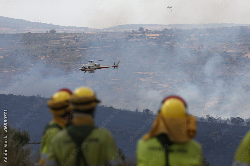 Fototapeta premium CUADRILLAS DE BOMBEROS FORESTALES