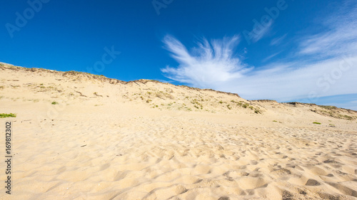 Lit-et-Mixe Beach, atlantic coast, France