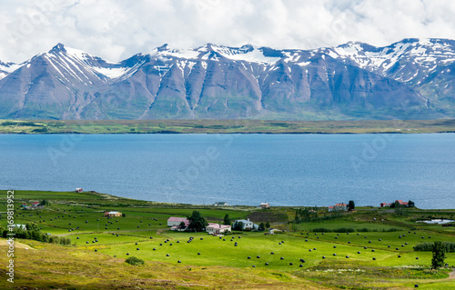 beautiful mountain range and landscape near Dalvik in Iceland photo