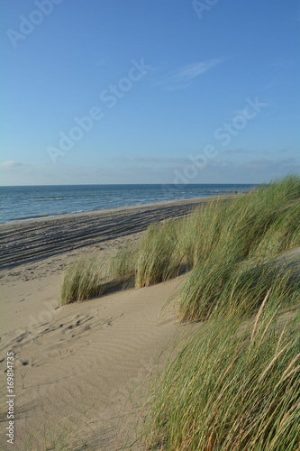Sanddünen und Strandhafer an der Nordsee mit dem Meer im Hintergrund